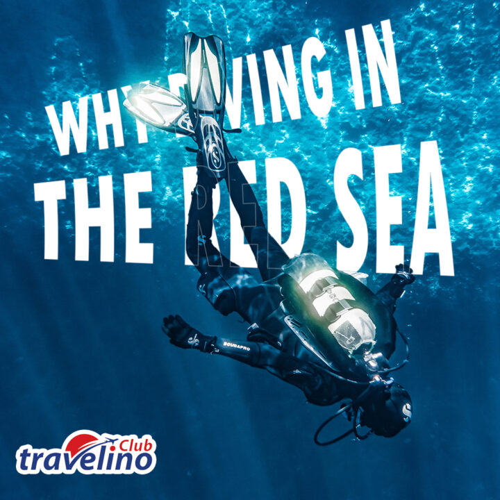 Why-Diving-In-the-Red-SEA-720x720.jpg