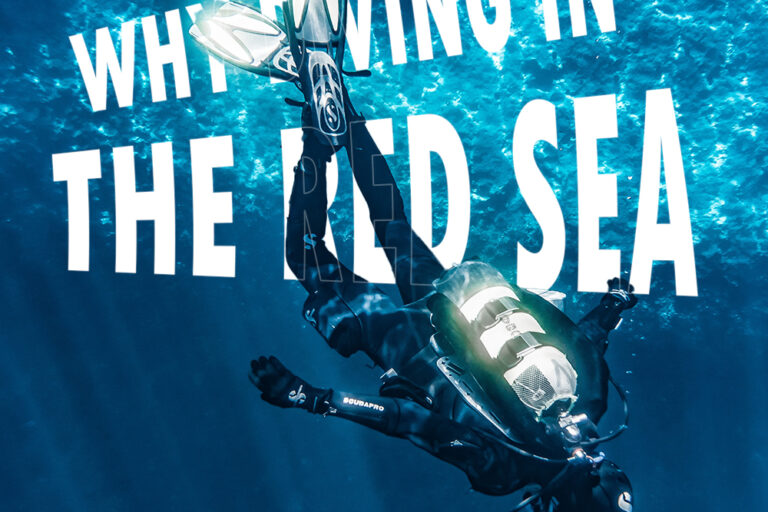 Red Sea Egypt Diving