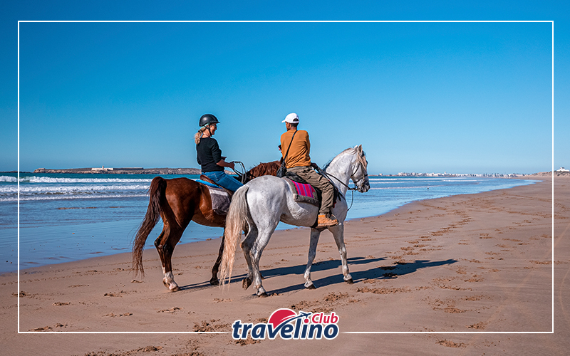 Horse riding Sharm El Sheikh