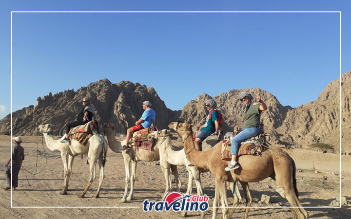 Sharm el Sheikh Camel Ride