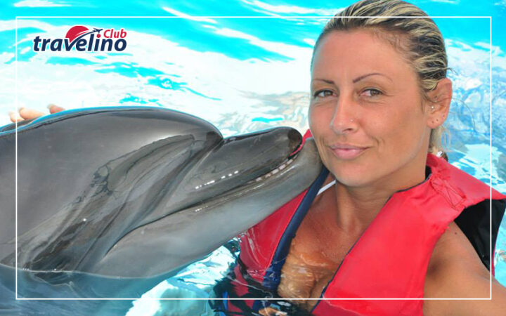 Nuotare con i Delfini Sharm